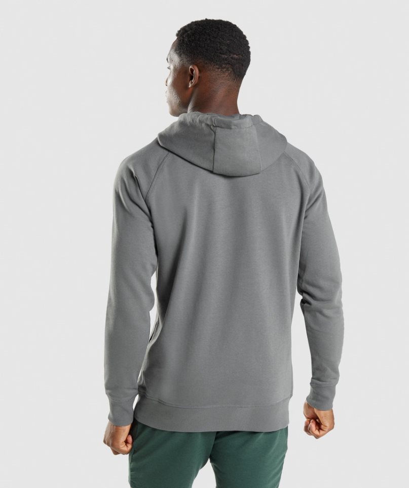 Men's Gymshark Sharkhead Infill Hoodie Grey | CA 6N0153